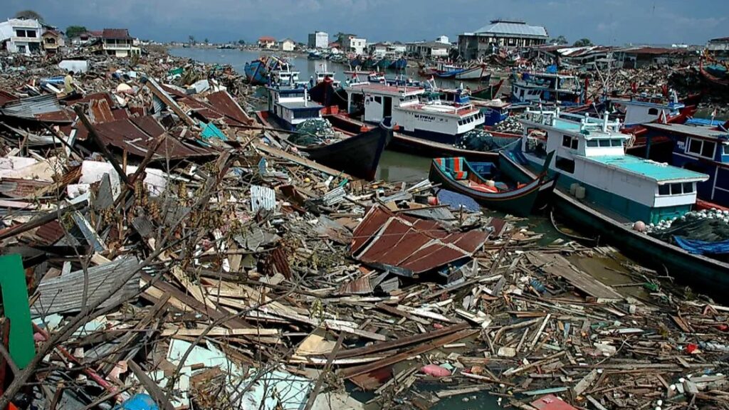 The Sumatra-Andaman Earthquake (2004)